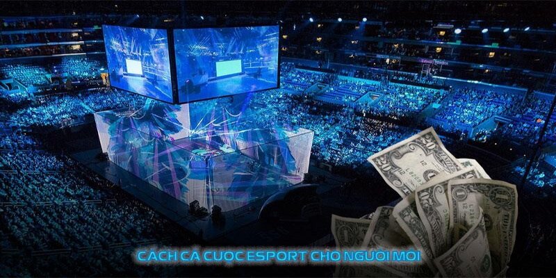 Đặc điểm nổi bật của Hi88 về Esports