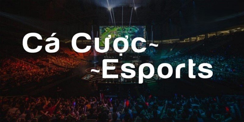Quy trình tham gia chơi Esports tại nền tảng