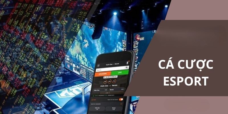 Tìm hiểu thêm về chơi esport là gì 