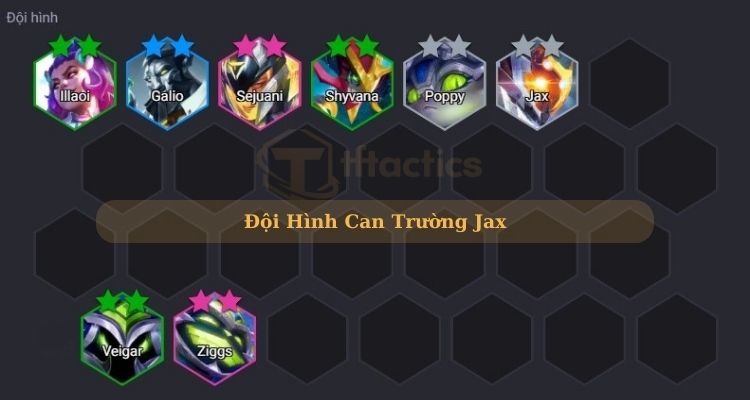 build jax dtcl