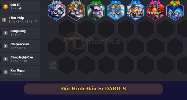 Đội hình Đấu Sĩ