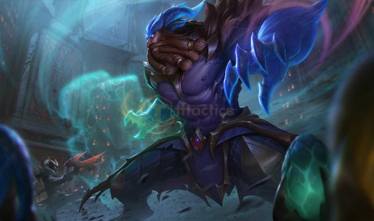 udyr dtcl