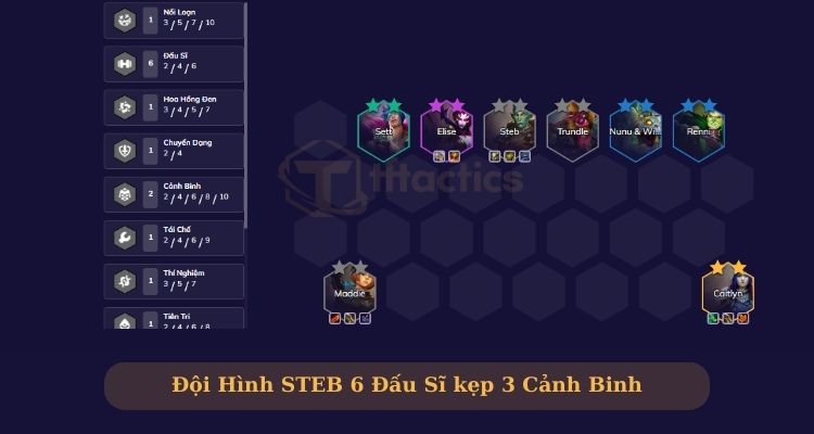 steb dtcl