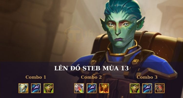 steb dtcl