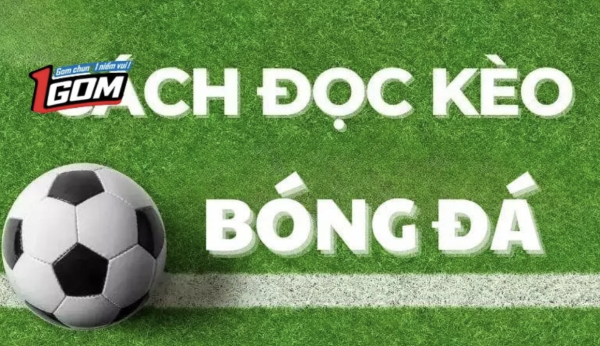 Cẩm Nang Soi Kèo Bóng Đá 1GOM Cho Người Mới Bắt Đầu